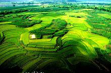 龍州[廣西崇左市轄縣]