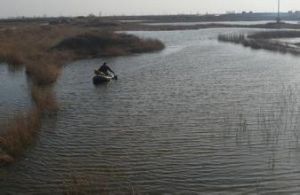 青靜黃排乾 青靜黃排乾