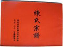 廣東惠東黃沙塘練氏宗譜