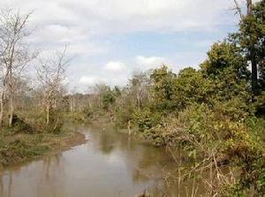 尼泊爾齊旺國家公園