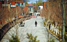 北京通州賣耕地蓋別墅事件 北京通州賣耕地蓋別墅事件