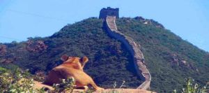 新鄉跑馬嶺地質公園