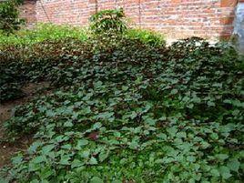 一拉溪鎮 一拉溪鎮