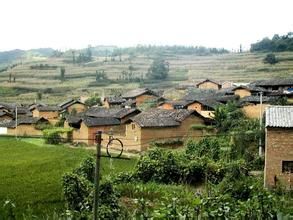 木柏中寨村 木柏中寨村