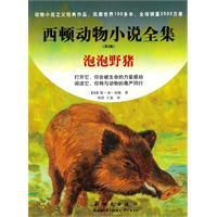 泡泡野豬 泡泡野豬