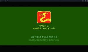 電影許可“龍標”