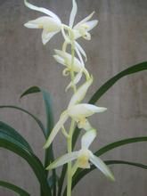 青山玉泉 青山玉泉