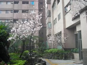 百朝社區 百朝社區