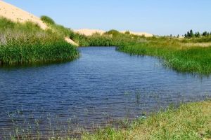 恩格貝生態旅遊區