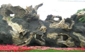 上海人然合一現代農業生態園