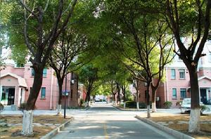 清水苑828弄街景