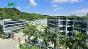 深圳市顧康力投資控股有限公司 深圳市顧康力投資控股有限公司