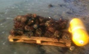 東雷丁海灘 東雷丁海灘