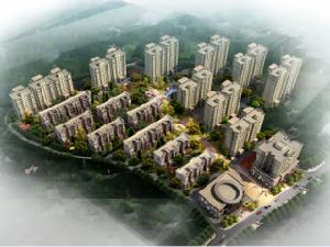 黔龍1號 黔龍1號