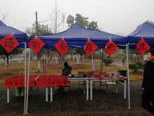 墨軒書法協會送春聯活動