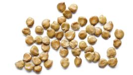 望江南子 望江南子