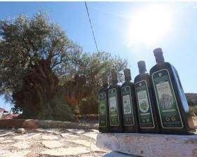 希波克橄欖油 希波克橄欖油