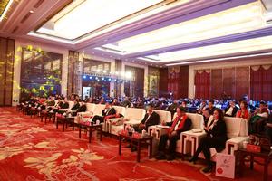 2017中國文化產業峰會河北專場