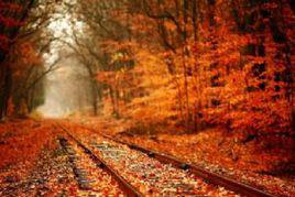 匆匆[王中朋短詩]