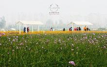 普蘭斯薰衣草莊園