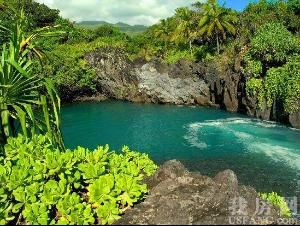 懷厄萊阿萊 懷厄萊阿萊