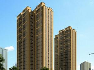 寧波迪賽青蘋果 寧波迪賽青蘋果