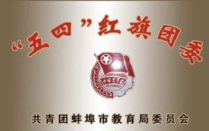 蚌埠五中所獲榮譽