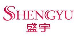 盛宇集團有限公司 盛宇集團有限公司