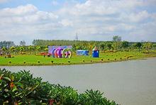 鹽城黃尖牡丹園高清組圖