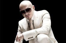 Pitbull