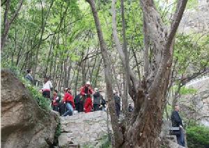 桐柏淮源風景區