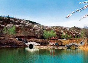 蘇家屯區 蘇家屯區