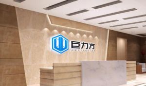 深圳市巨力方視覺技術有限公司 深圳市巨力方視覺技術有限公司