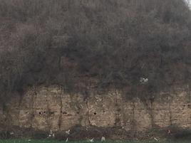 敬陵[唐貞順皇后敬陵]