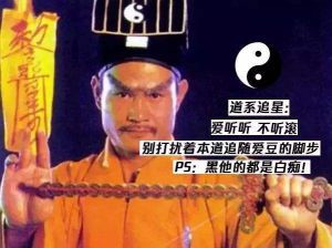 道系追星 道系追星