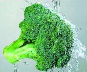 葡萄糖異硫氰酸鹽 葡萄糖異硫氰酸鹽