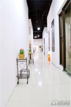 飛鵬網紅安運營中心