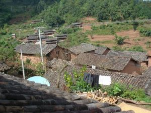魚玩水村 魚玩水村