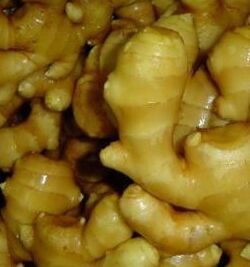 糖漬萊蕪黃姜 糖漬萊蕪黃姜