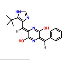普那布林 普那布林