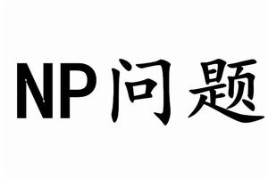 非確定性多項式難題 非確定性多項式難題