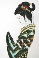 馮玉鐵張桂英蝶畫紅樓夢十二釵圖 馮玉鐵張桂英蝶畫紅樓夢十二釵圖