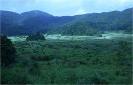 望東洋高山濕地 望東洋高山濕地