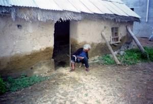 小農思想 小農思想