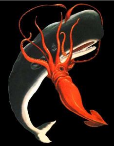 大王酸漿魷生活在黑暗、冰冷的南極深海中