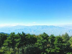 京西林場 京西林場