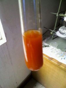 檢驗還原糖 檢驗還原糖