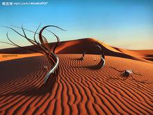 大古城沙漠奇景景點特色圖片