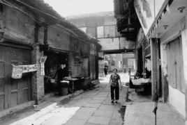 走馬鎮[重慶市九龍坡區下轄鎮]