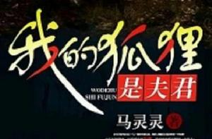 我的狐狸是夫君 我的狐狸是夫君